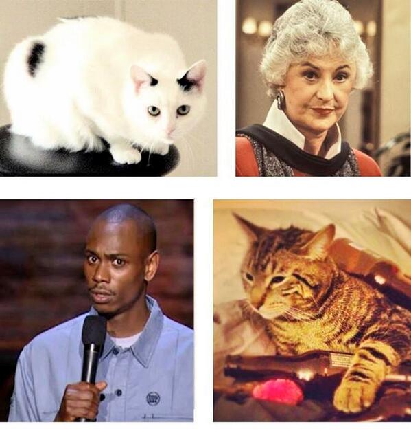KoppBryan's tweet photo. If my cats were people... http://t.co/7PQ1cD756O