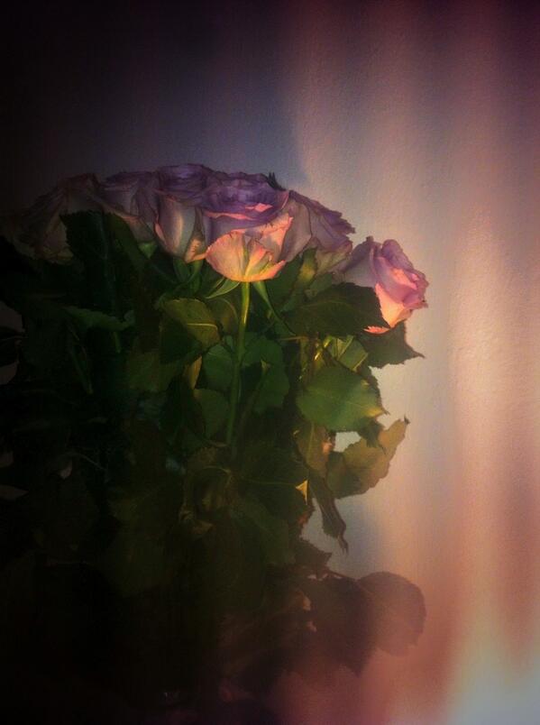 TeenegerForever's tweet photo. Thank you honey. :) http://t.co/6ijvz7A4FV