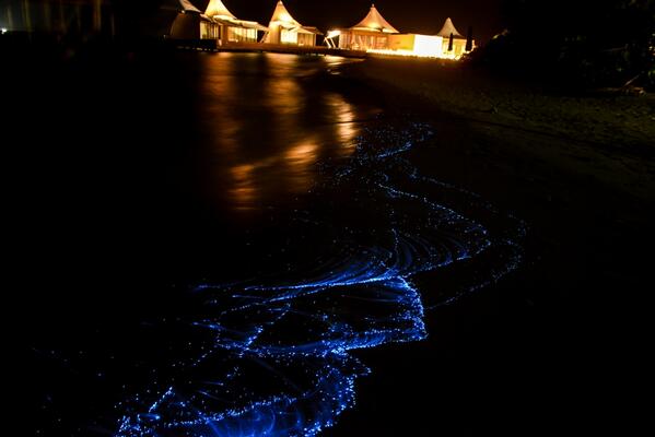 Bio-luminescent #plankton captured at #AwaySpa. Magical moments. <a href="/WHotels/">W Hotels</a> @StarwoodBuzz