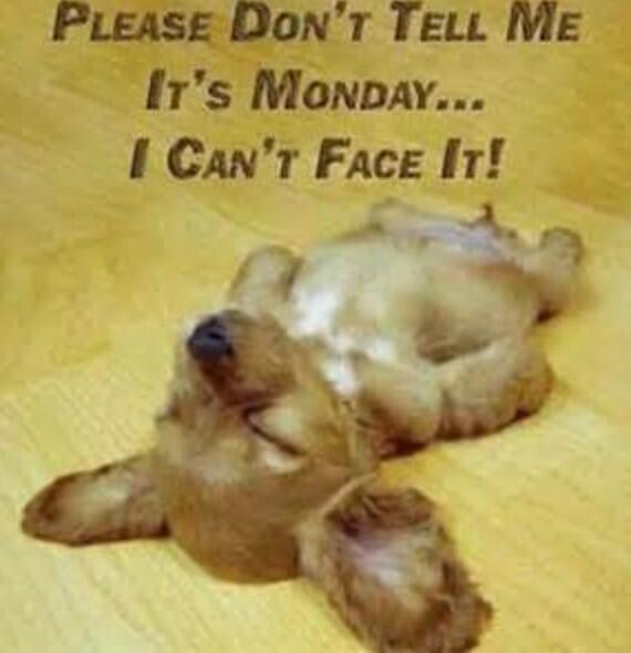 michkeegan's tweet photo. This is me right now! X http://t.co/iZ3vUVLs3p