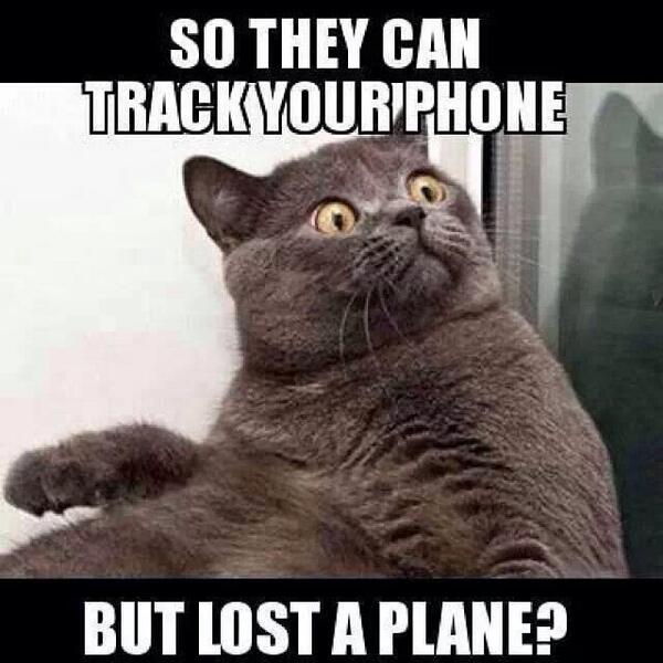 Tameera's tweet photo. Even the cat was confused @PetWhispererSL @pattykikos http://t.co/u1y6ZDRN38