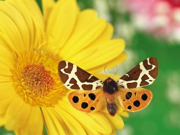 예수님,저 다시 시작할께요 !  blog.naver.com/88ljm88ljm/110… <네이버 블로그>