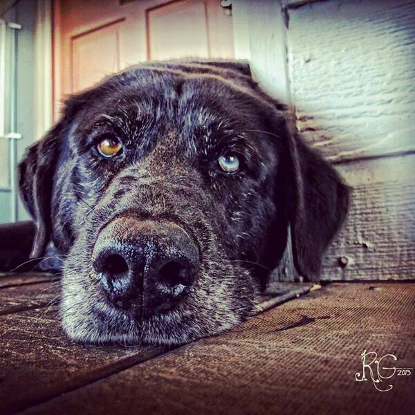 #SadieBell
#ASCMascot
#Mascot