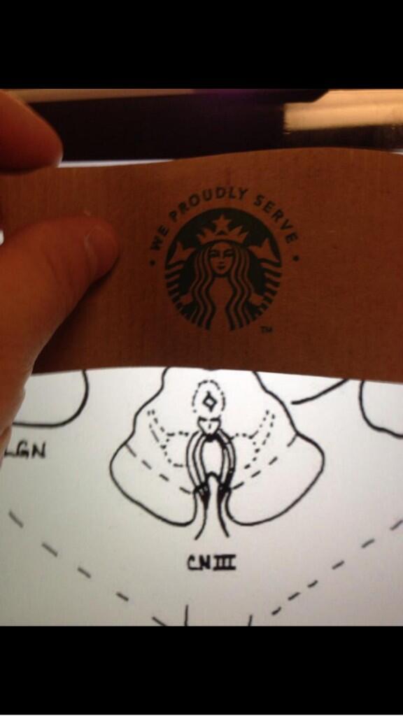 ethomasguxc's tweet image. #ptschoolproblems and clever marketing by Starbucks. #coffeeinmybrain