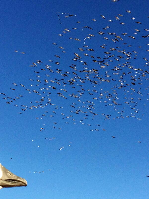 TonyVandemore's tweet photo. Let's get ready to rumble! #ChasingF5 http://t.co/l7TuBzyXn2