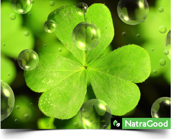natragood tweet picture