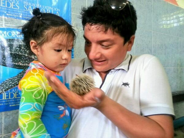 jerentela's tweet photo. Que es esto??  Aprendiendo del mar http://t.co/qIpDoIxFtk