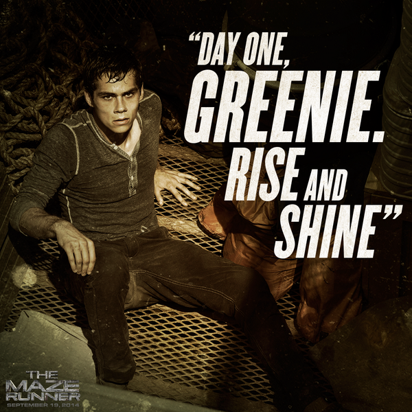 Maze Runner Quotes Teresa