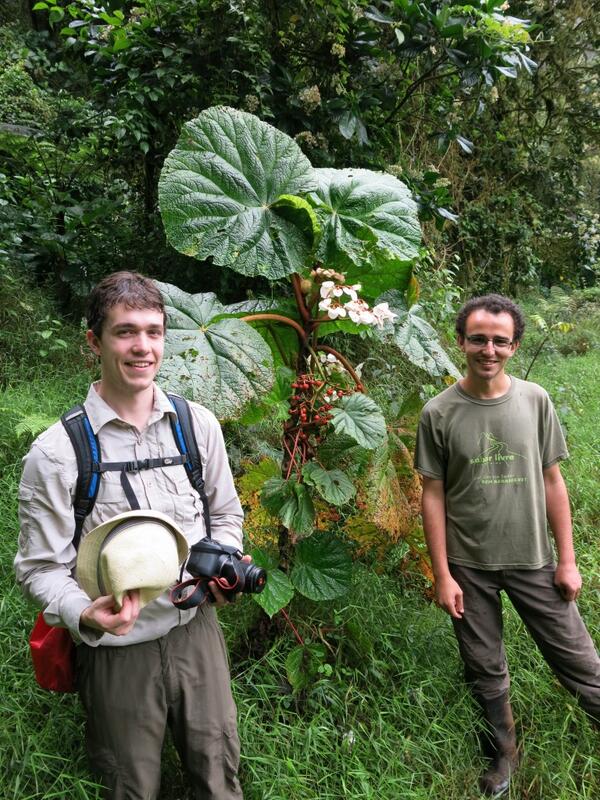 Royal Botanic Garden Edinburgh tweet media