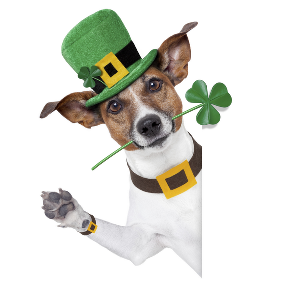 CenterforSight's tweet photo. Happy St. Patrick's Day http://t.co/icvnwODag9