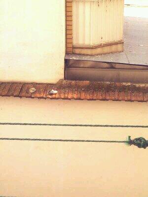 PatriTenorio3's tweet photo. Con @BBeeaaMC http://t.co/axPiK04pxd