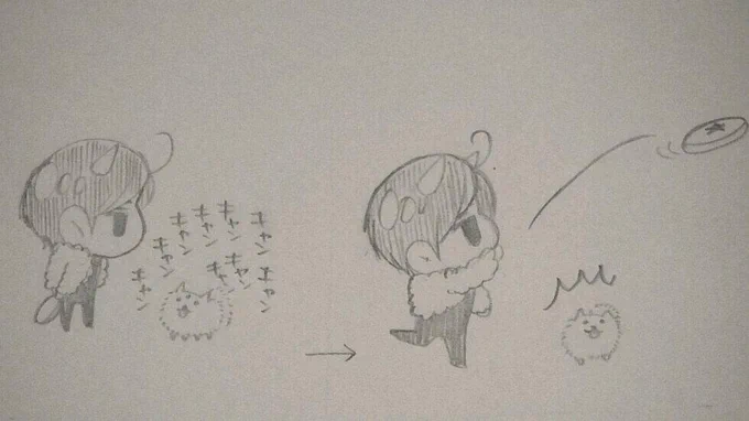 @marochage ( ºωº ) 