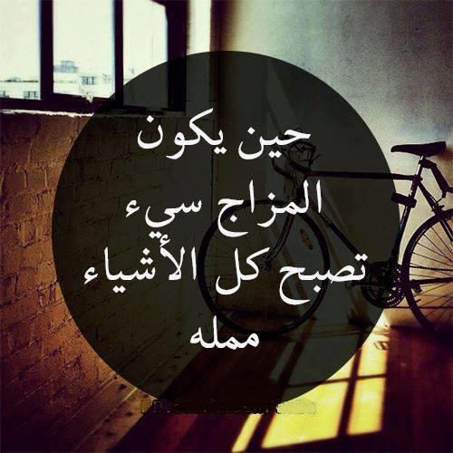 ���� ���� ������ �� ���� ������