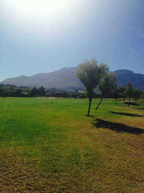 Quick round if early golf. Jah man.