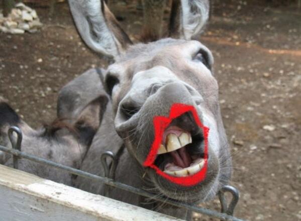 Dawei3735's tweet image. Menu 6 was a wild card entry on Dinner Date but never made it past the starting post for Kevin #wrongcolour Lol