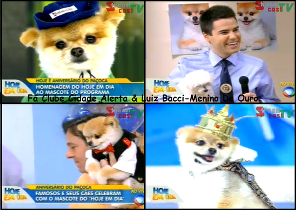 FcBacciECidadeA's tweet photo. Parabéns Paçoca \O/ Bacci estava lá com o Toy mais foi se arrumar pro BG que vai começar agora! http://t.co/4uJeHRCDNx