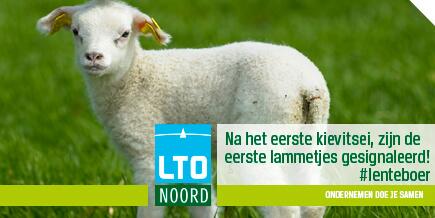 LTO Noord tweet media