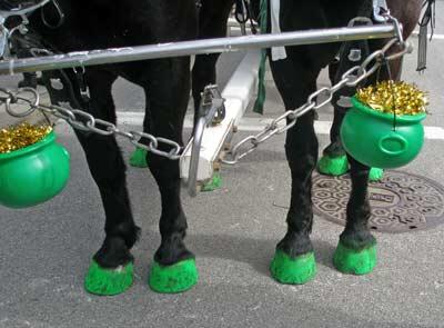 BuckTheFilm's tweet photo. Happy St. Paddy's! #4leafclover #greenhorses #greenhooves #luckoftheirish #buckthefilm http://t.co/bPPWJwsEQm