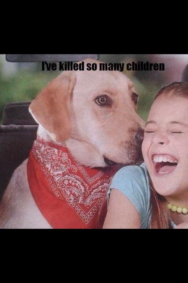 RelatableBlack's tweet image. I trained this mf dog to hunt down white kids