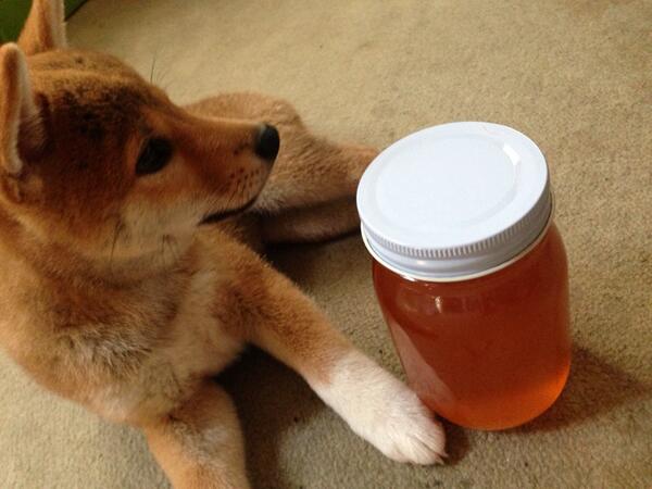 azuki_potiko's tweet photo. みなさまフォローありがとございます♡リプかえせてなかったりすみません、、 http://t.co/BfsEUt1SEh