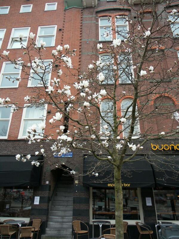 Rond Mercatorplein tweet media