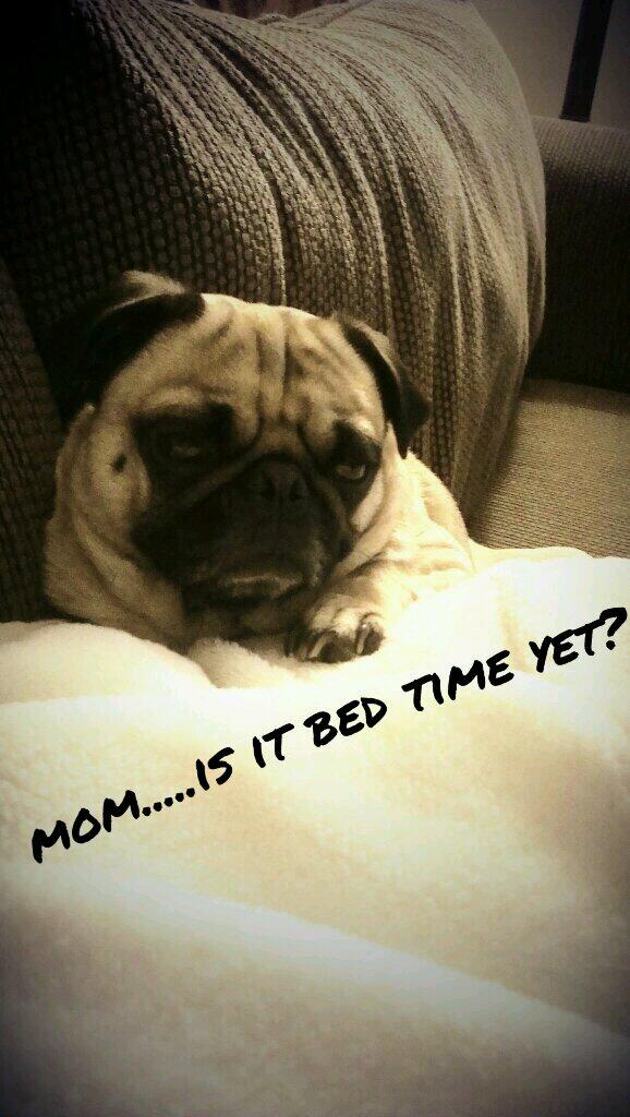 mandybug12 tweet picture