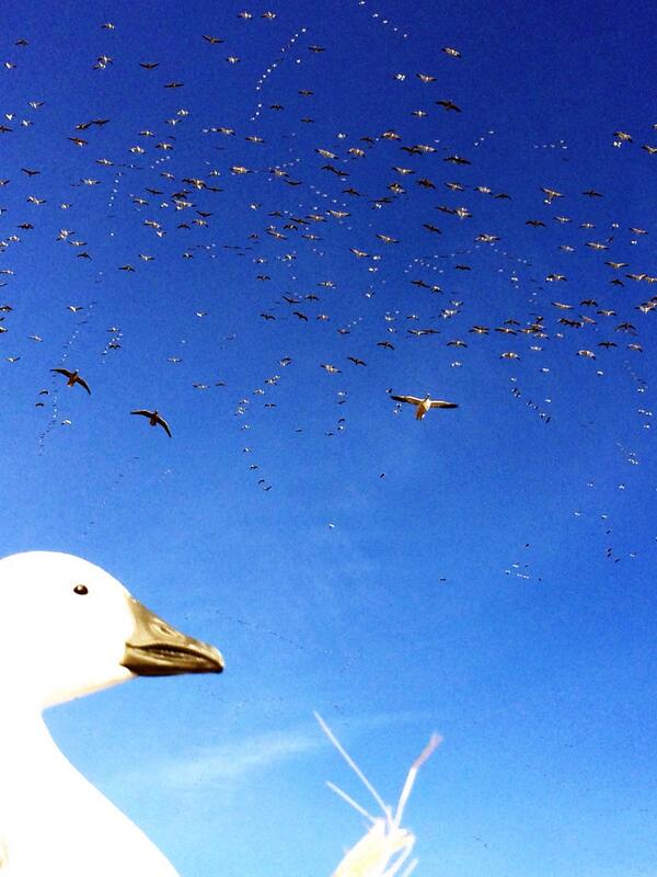 TonyVandemore's tweet photo. Lunch bunch!! #ChasingF5 http://t.co/TvHBaBsIVI
