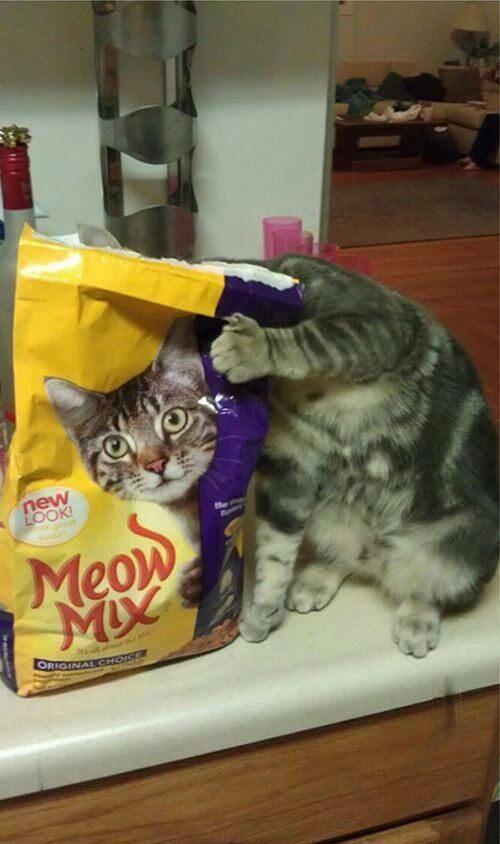 Not the best hiding place...
