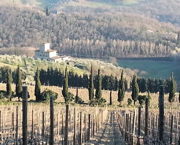 winepages's tweet photo. Beautiful evening in Tuscany: sun setting over the vineyards of Castello d'Albola http://t.co/hd8VTH2trz