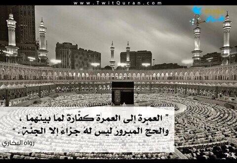 saad9198's tweet image. 