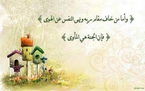 saad9198's tweet image. 