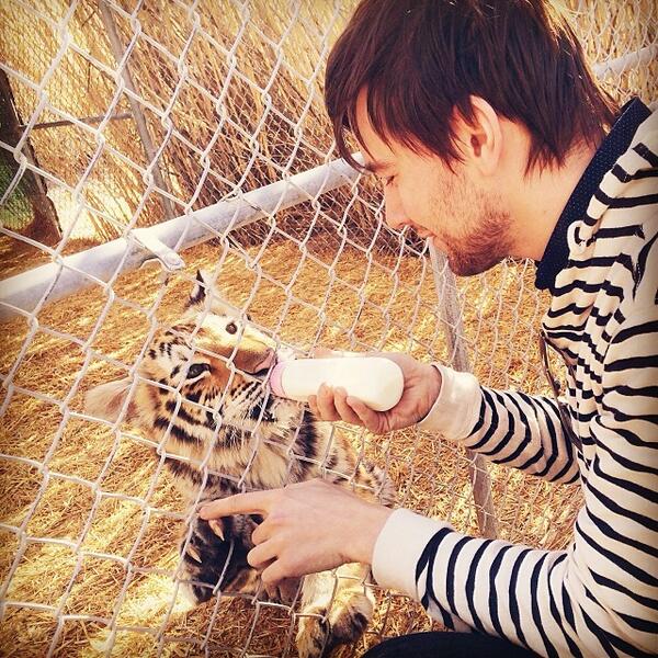 OMG look, a baby tiger! Gotta love my job...
