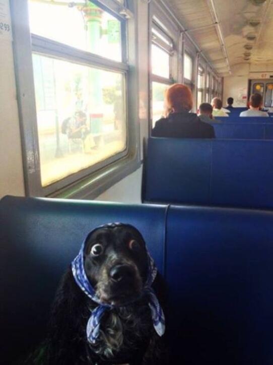 tokyosexwhale's tweet photo. I have no idea why this old woman looks so terrified. http://t.co/r3BBShggYO