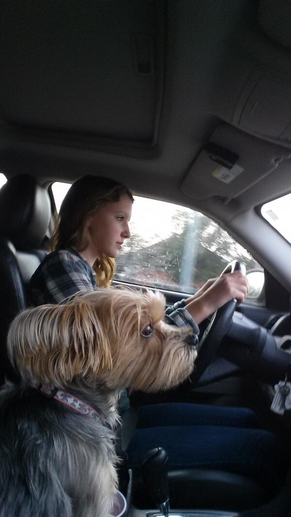 TheFamilyPup's tweet photo. I'm observing. http://t.co/tDldhY4pls