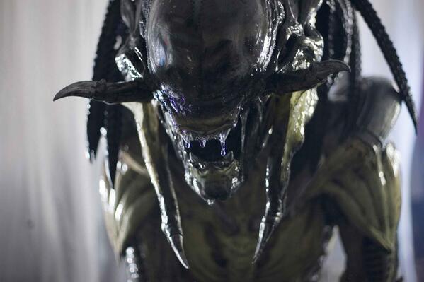 426PredAlien tweet picture