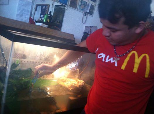 MarcyOlson's tweet photo. My sexy hoe feeding his nastay turtles x) @_Anthony_Olson http://t.co/f6Lj0yprJs