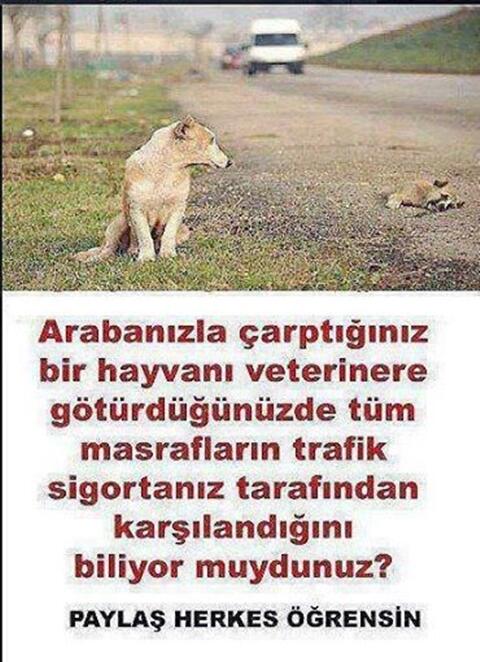 Paylaş Herkes Öğrensin .