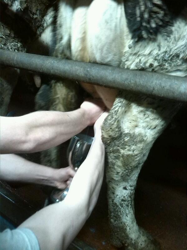 Shane_r14's tweet photo. @michealburns11 load of shit burns we always milk the cows http://t.co/3e23fgzU2K