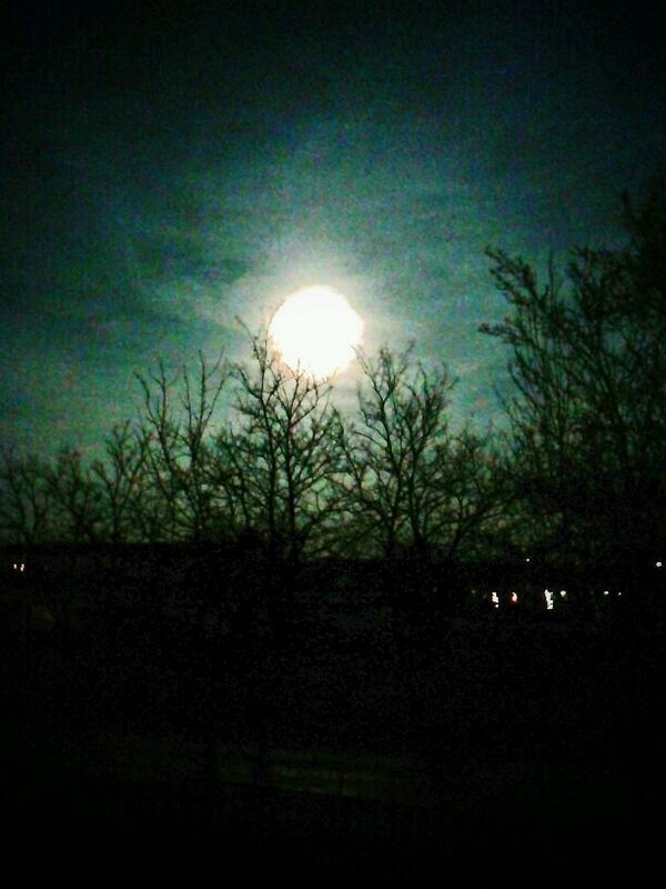 Encsiii_Frank's tweet photo. @MTVteenwolf  teen wolf night ;) http://t.co/faPZ2AQMXj