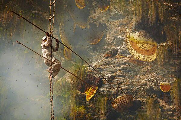 rachelestorai's tweet photo. Antichi cacciatori di miele delle montagne in Nepal #andrewnewey http://t.co/9BG0PAPtKs @BioDivPark http://t.co/mWPxA0z0cv