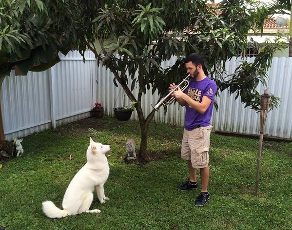 BrassBrew's tweet photo. Check out a bio of our Trumpet player, Joey Alvarez!! "Like" us on FB while you're at it! http://t.co/3rTsXtE7RC http://t.co/QnkyERwSly