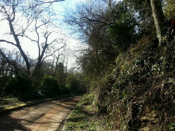 WatnallBunker's tweet photo. @GCRestoration A beautiful day down at the Secret Bunker! Looking forward to opening our doors so all can share it! http://t.co/I04VxHytoG