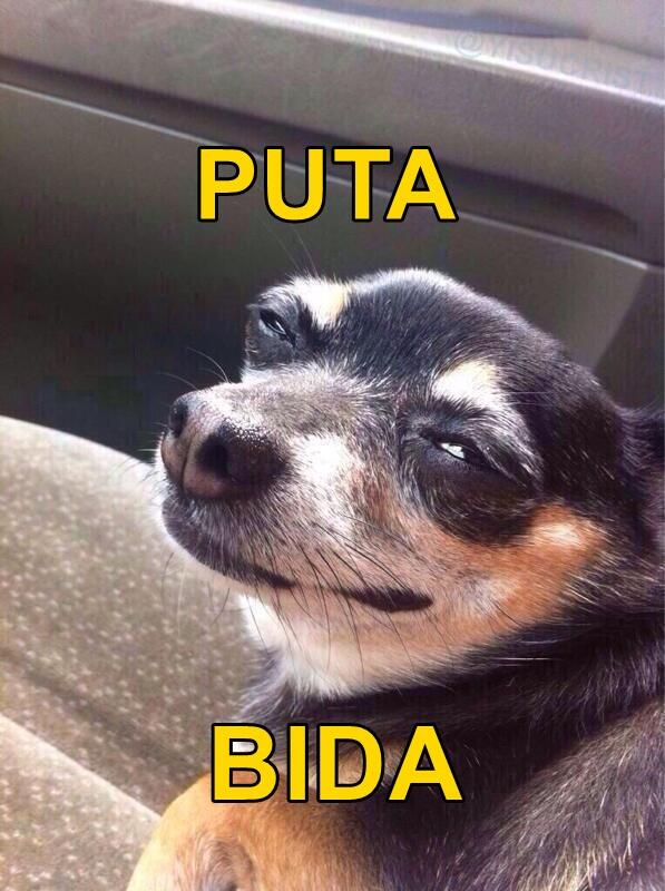 yisucrist's tweet photo. yo mañana al despertarme http://t.co/iar3DYVIyk