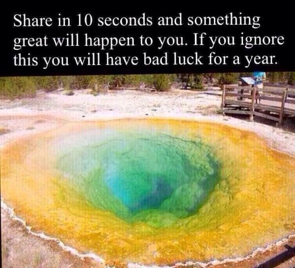 what the hell is this