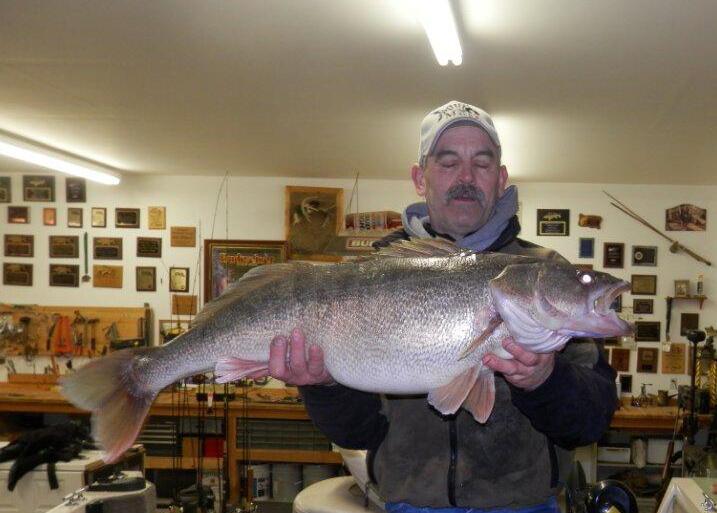 liquid mayhem walleye