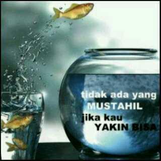 berasil22's tweet photo. http://t.co/c8CT2pMSYf