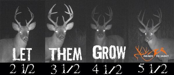 readyt0hunt's tweet photo. Let them grow. http://t.co/VE0UruC0K8