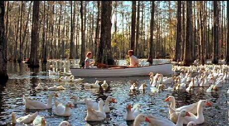 GentPrep's tweet image. #IfWeDate