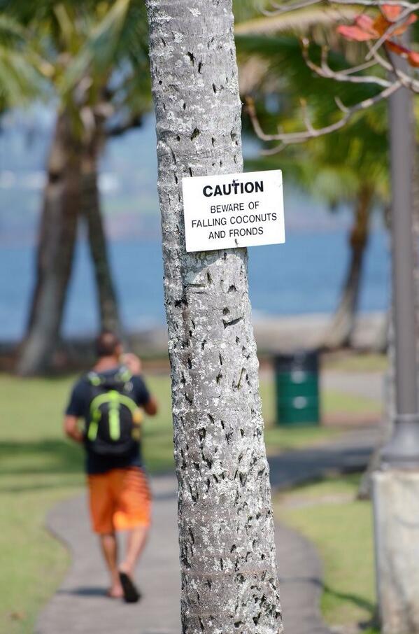 Problems I can deal with.. #hawaii