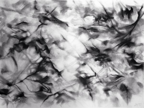 alisonjardine's tweet photo. Shadow Self VI' 22"x30" charcoal on paper  #art . . #drawing https://t.co/dwl448TSCt